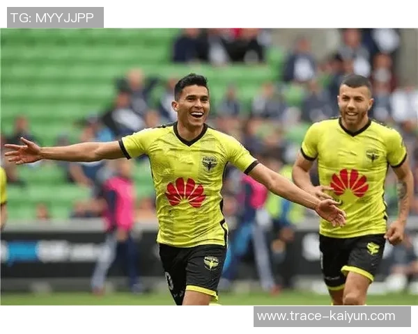 墨尔本足球队：追逐胜利的梦想与激情的绿茵场上演绎传奇